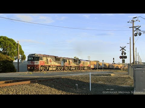 1MP9 SCT Freight Train At A Level Crossing - PoathTV Australian Railways