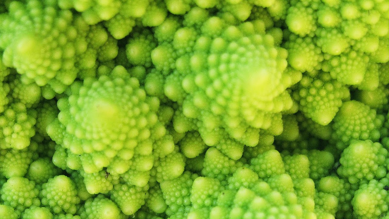 Fractals | After Dark Online