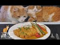 Japanese Katsu Curry Pork Cutlet