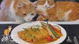 Japanese Katsu Curry (Pork Cutlet)