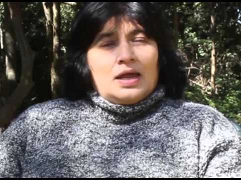 TEKOHA GUASU • 2013