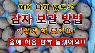 [텃밭농부 1,821]  깜짝 놀라실 겁니다! 감자가 싹이 나지 않도록 저장하는 방법 #감자재배