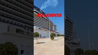 MSc grandiosa #cruise #cruceros #vacaciones #viaje #ytshorts #youtubeshorts