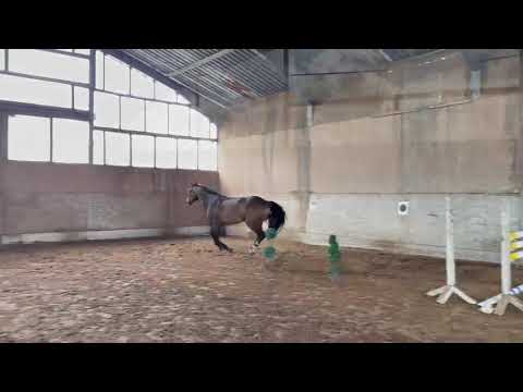 free jumping