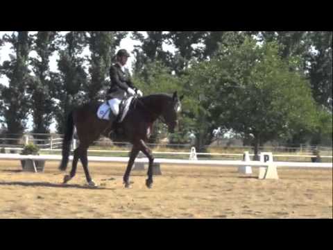 Say What & Merrie Velden