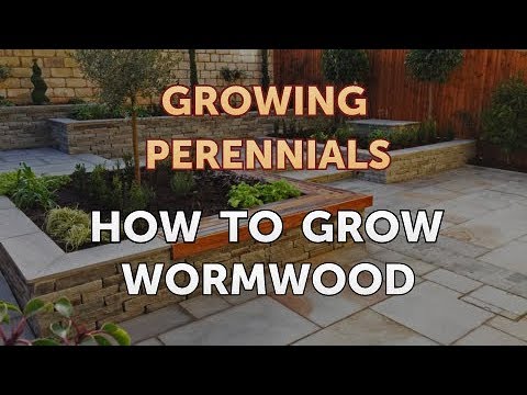 Can I Propagate a Peony From a Cutting