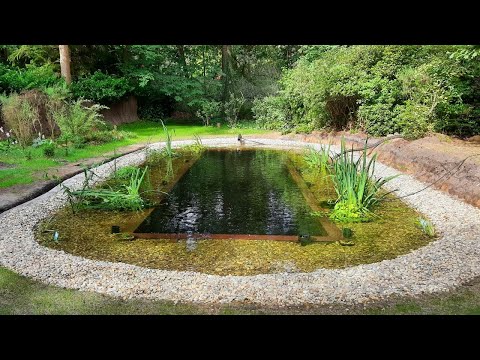 Natural Swimming Pond / Pool Build 2023