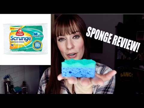 download lagu mp3 mp4 Scrunge Sponge, download lagu Scrunge Sponge gratis, unduh video klip Scrunge Sponge