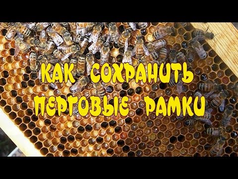 КАК СОХРАНИТЬ ПЕРГОВЫЕ РАМКИ ДО ВЕСНЫ. КАК СОХРАНИТЬ ПЕРГОВЫЕ РАМКИ.