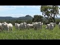 Curso Administração da Pequena Empresa Rural