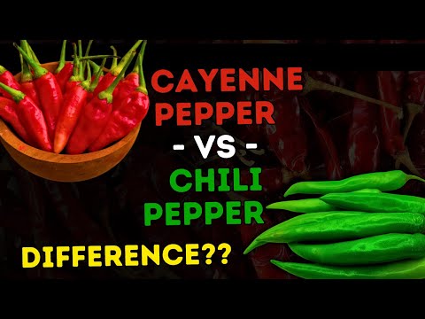 What's the Difference Between CHILLI and CAYENNE PEPPER? Food Scientist Explains