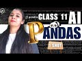 Python PANDAS Python Class 11 AI 843 Unit 3 Python Programming