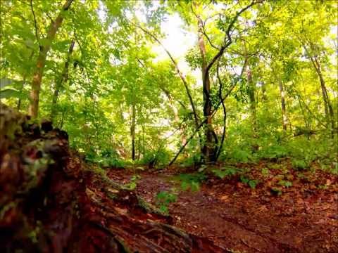 Breaking the Mould.. MTB GoPro