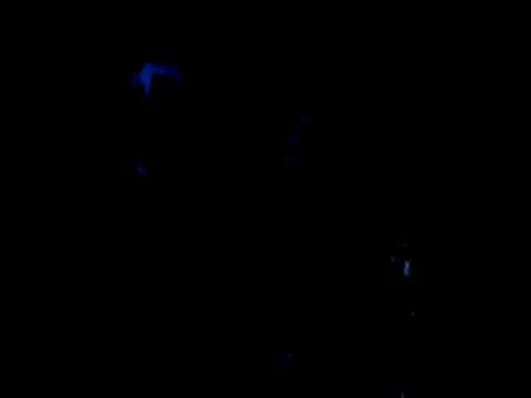 Fox call-Vixen scream