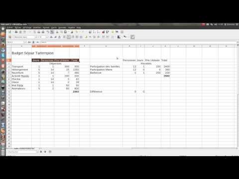 Libre Office Calc | Part 5 | Mise en forme