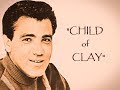 "Child of Clay" (Lyrics) 💖 JIMMIE RODGERS 💖 1967