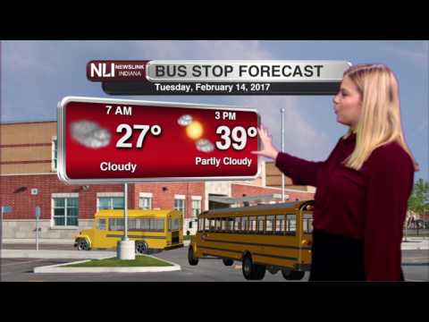 NewsLink Indiana Weather February 15, 2017 - Kalie Pluchel