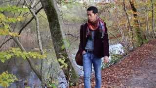 preview picture of video 'Autumn in Muri bei Bern'