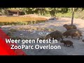 Weer geen feestje voor ‘pechpark’ Overloon