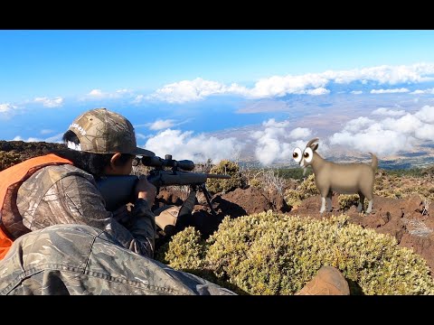 polipoli goat CATCH & COOK