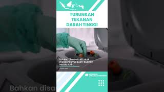 Cara Menurunkan Tekanan Darah Tinggi yang Bisa Memicu Berbagai Penyakit: Kurangi Garam