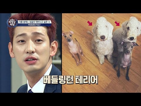 '4견(犬)의 아빠' 윤박, 배변 냄새·벽지 물어뜯어도 인내하는 사랑♥  비정상회담 150회