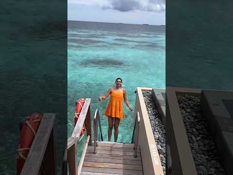 Wait for the jump in the Indian Ocean.  #shorts #maldives