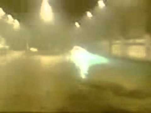 UTRP FOCUS SUNNY EVO