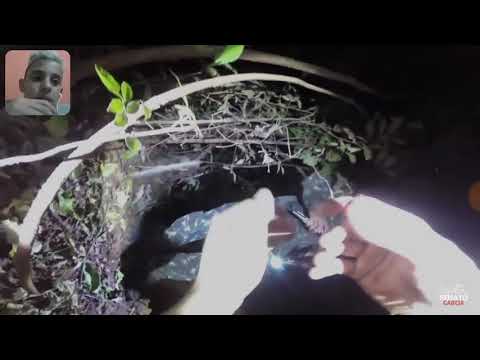 React trilha da macumba 2 (Renato Garcia)