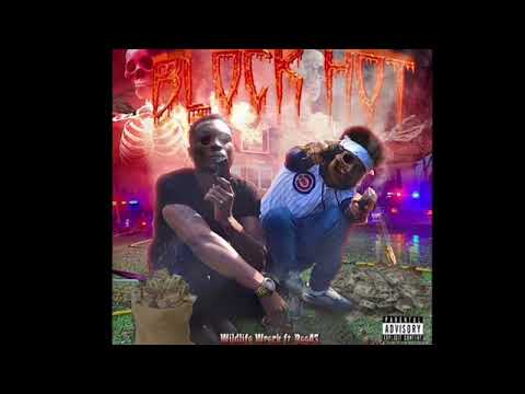 Wildlife Wreck - Block Hot feat. Ree43