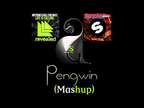kill the buzz  life is calling  VS  Dimitri vegas & like mike project t  (Pengwin Mashup)