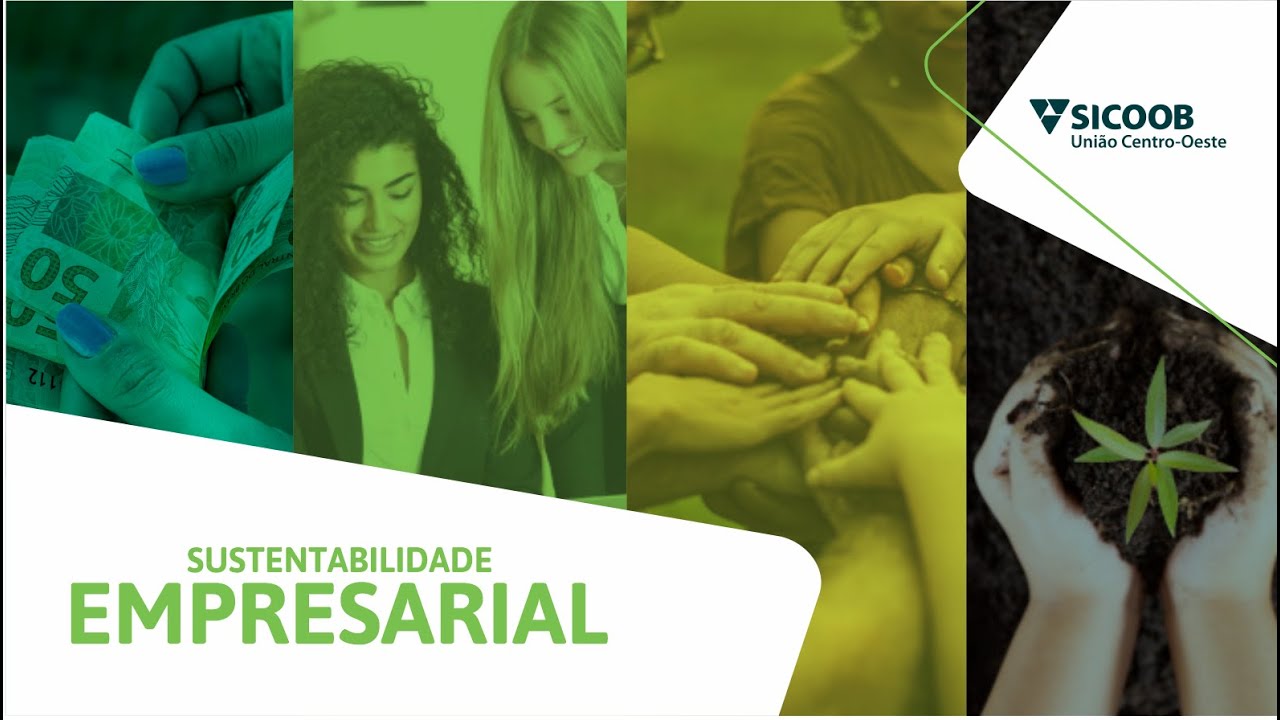Sustentabilidade empresarial