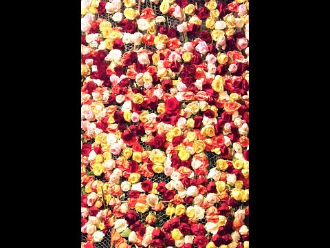 Blue Canary by Vincent Fiorino