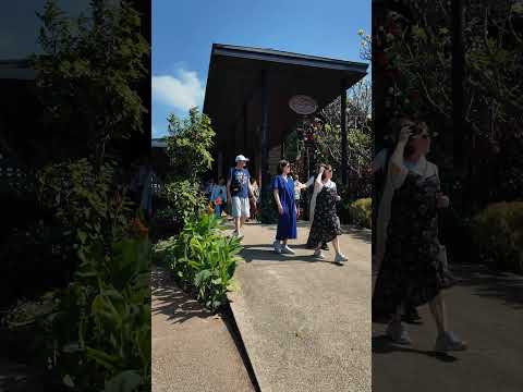 Monsoon Valley Wineyard Hua Hin