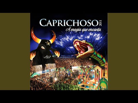 O Contador De Histórias - Boi Caprichoso