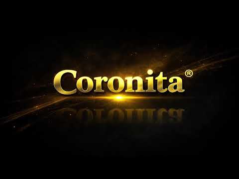 Chriss Jay - Live @ Brandus Coronita After  ( 2025.12.14. ) 