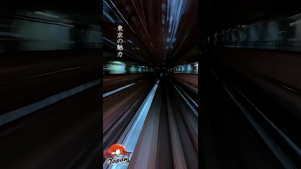 [東京の魅力] ゆりかもめの車窓から見る夜景がロマンチックすぎる。