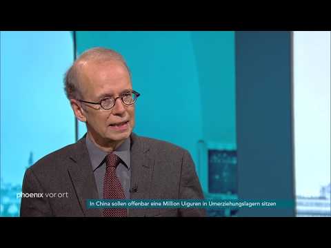 Prof. Tilman Mayer zur AfD-Spendenaffäre am 12.11.18