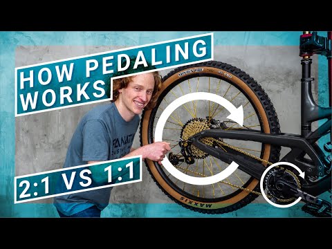 How gear ratios let you climb steep hills and bomb down trails: Mountain Bike Drivetrain 101