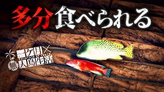 漂着した無人島で釣った魚に活路を見出す極限サバイバル【Survival: fountain of youth】【ゆっくり実況】