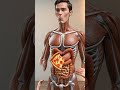 Inside Your Stomach After Eating Junk Food | 3D Body Animation