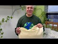 Organic Cotton Pillow Vs Nasty Synthetic Pillow The Ultimate Test