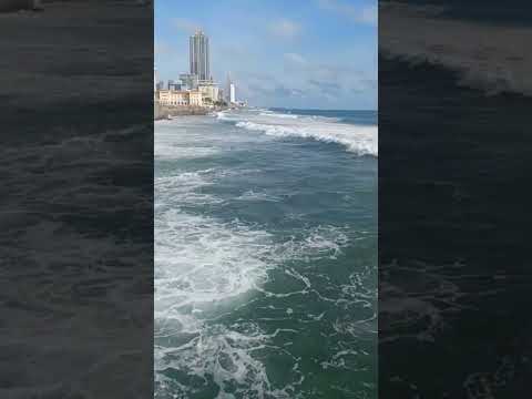 Nature Beauty...... #music #song