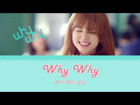 Shannon Williams - Why Why (왜요 왜요) Lyrics (Han/Rom/Eng)