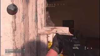 なべつるの雑魚エイム　COD MW 11