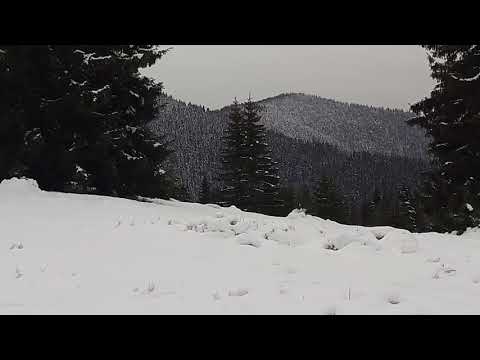 Banatul Montan partea 1 ( regatul alb)