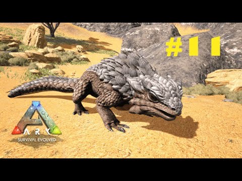 ARK Survival Evolved Multiplayer #11 O dragão espinhoso Chegou 🐱‍🐉🐱‍🐉