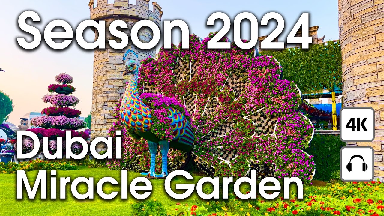 Embark on an immersive walking tour of Dubai Miracle Garden.