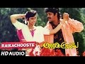 Allari Alludu Songs Raika Chusthe Nagarjuna Nagma Meena Vanisri Telugu Old Songs