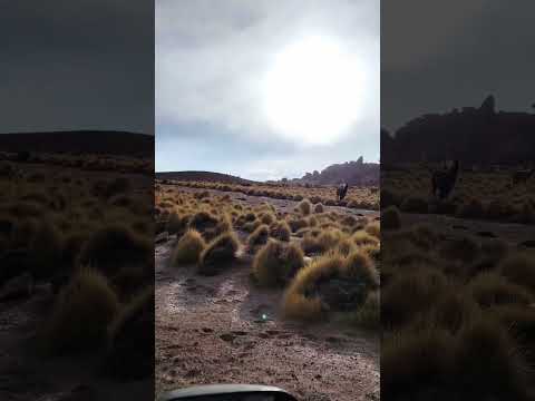Ruta 40 jujuy tramo San Antonio de los Cobres _ Susques